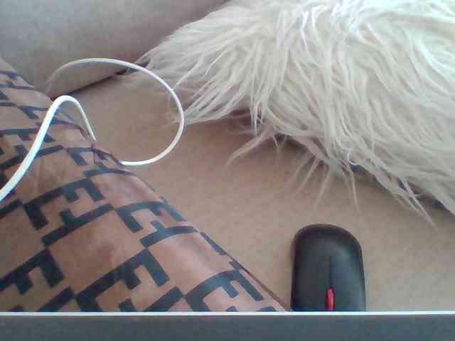 Dollie webcam