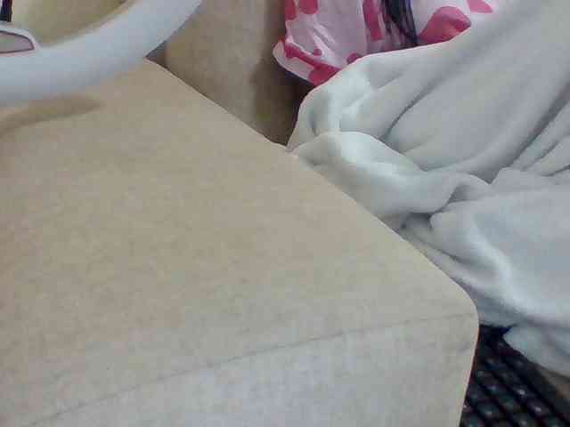 Dollie webcam