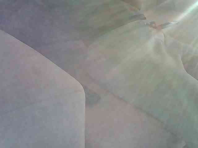 Dollie webcam