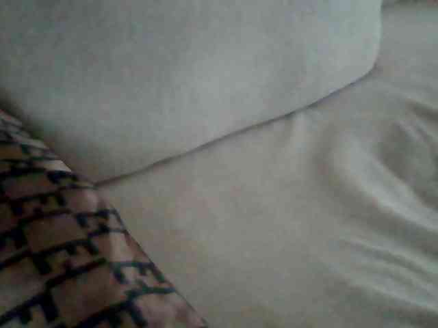 Dollie webcam