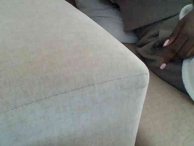 Dollie webcam