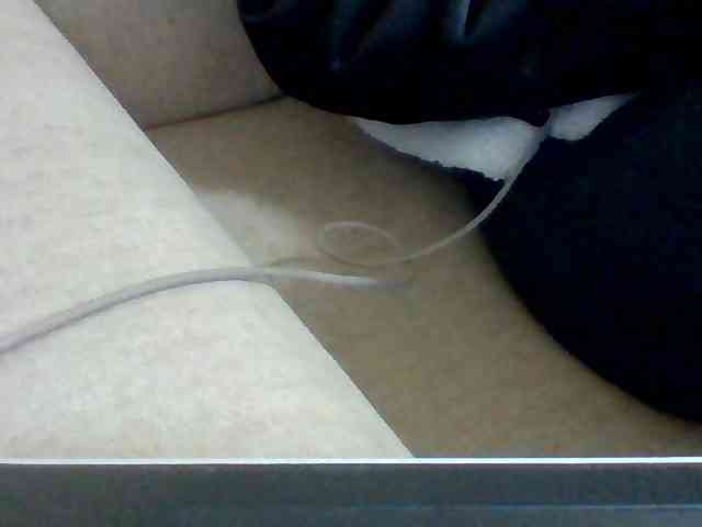 Dollie webcam