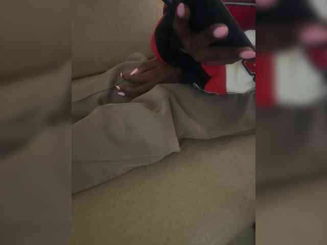 Dollie webcam
