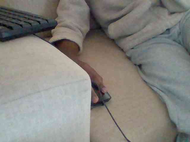 Dollie webcam