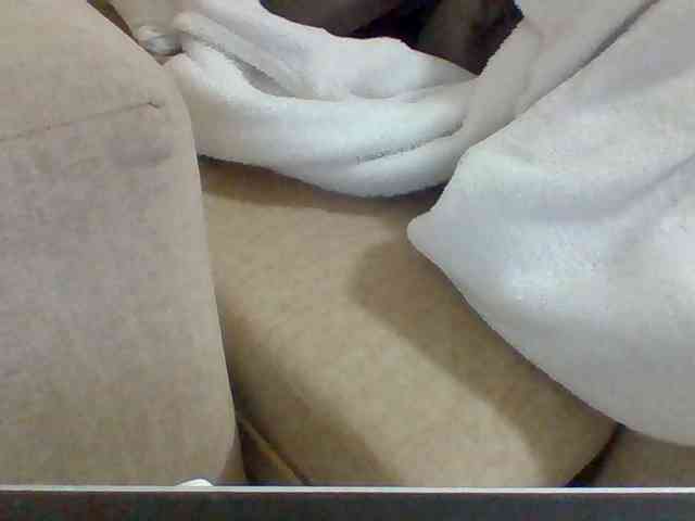Dollie webcam