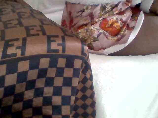 Dollie webcam