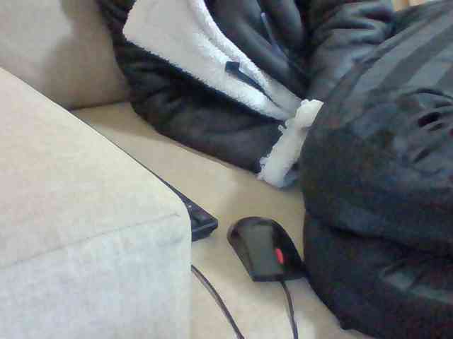 Dollie webcam