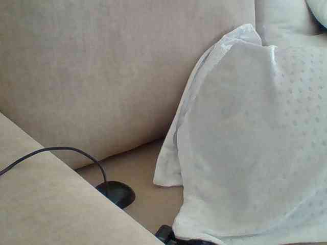 Dollie webcam