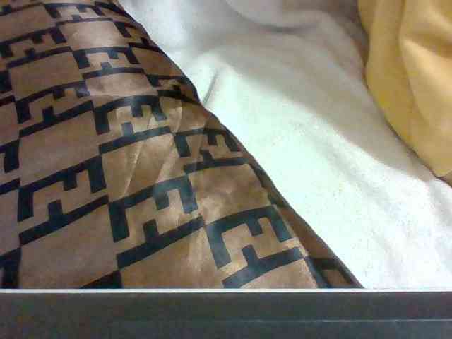 Dollie webcam