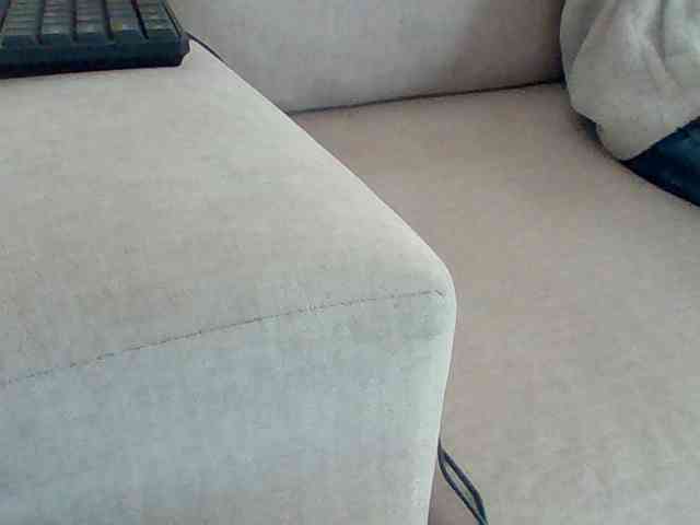 Dollie webcam