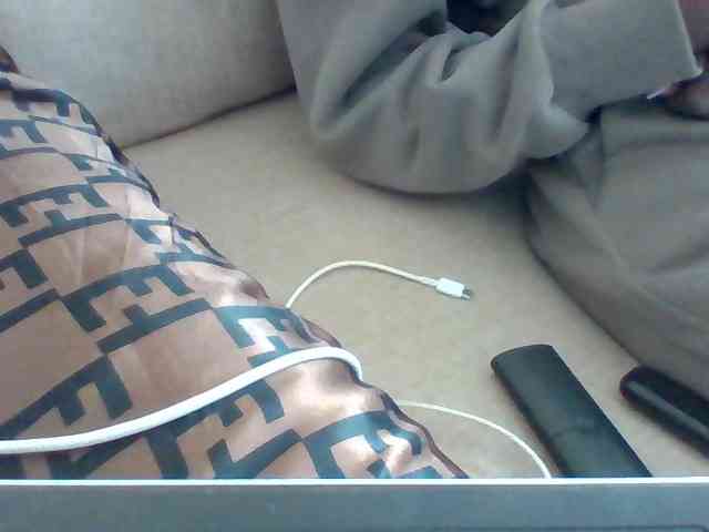 Dollie webcam