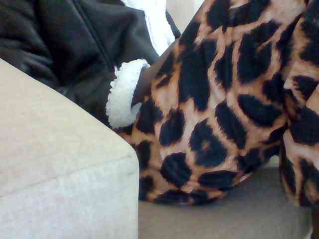 Dollie