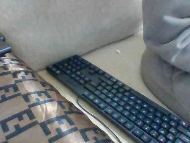 Dollie webcam