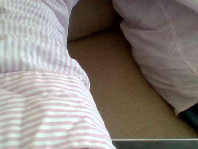 Dollie webcam