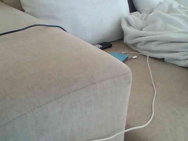 Dollie webcam