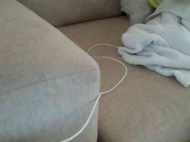Dollie webcam