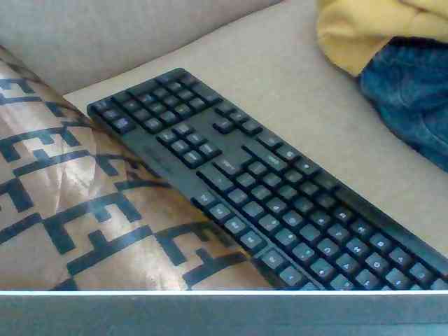 Dollie webcam
