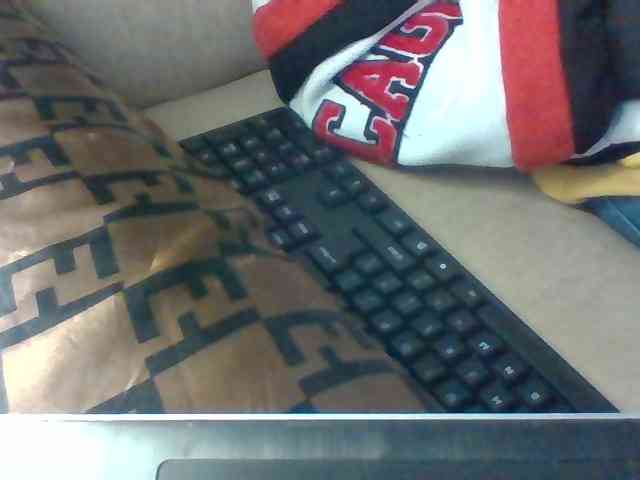 Dollie webcam