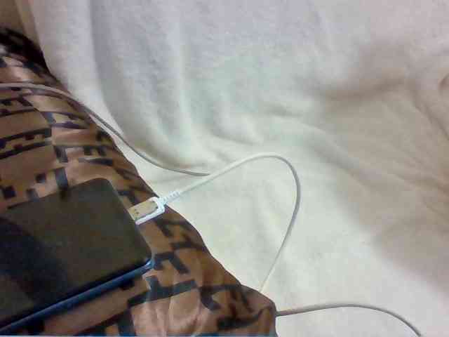 Dollie webcam