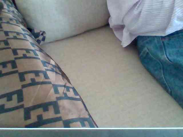 Dollie webcam