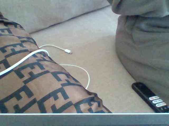 Dollie webcam