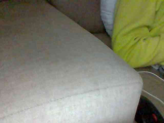 Dollie webcam