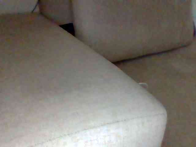Dollie webcam