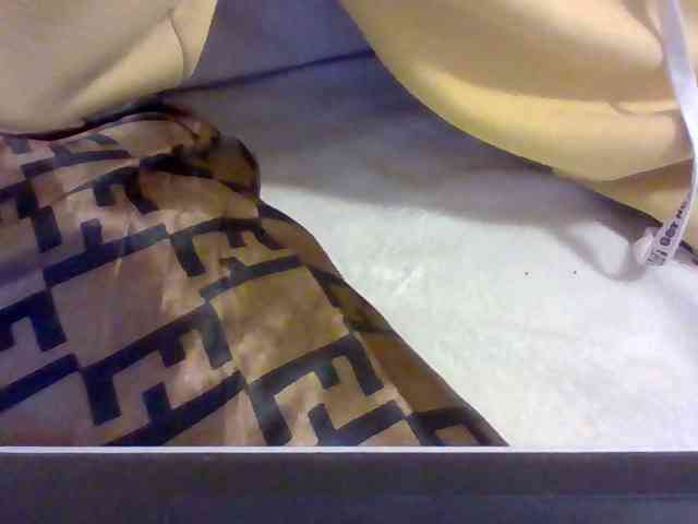 Dollie webcam