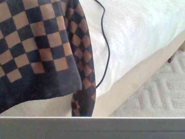 Dollie webcam