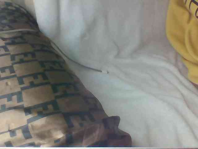 Dollie webcam