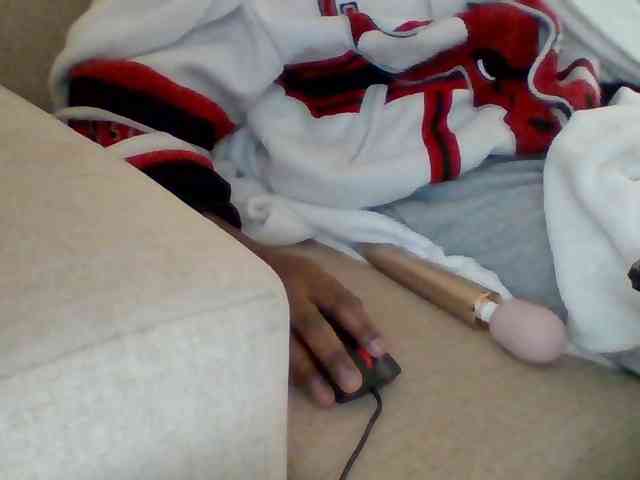 Dollie webcam