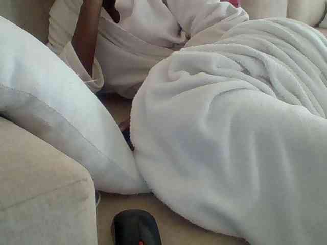 Dollie webcam