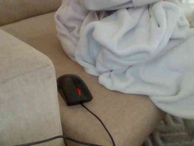Dollie webcam