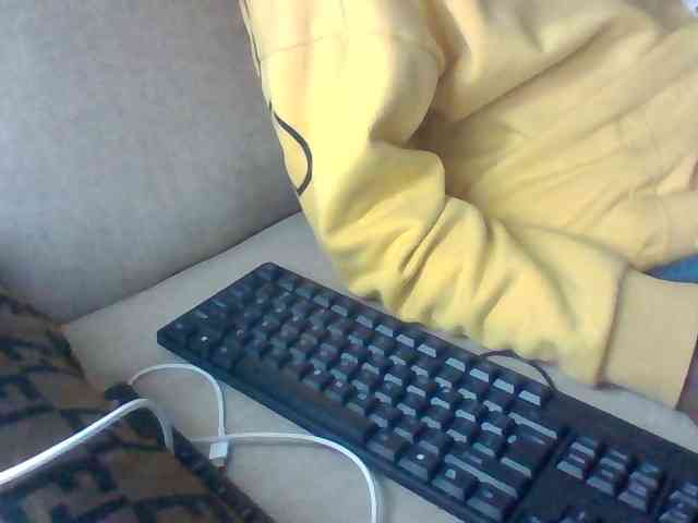 Dollie webcam