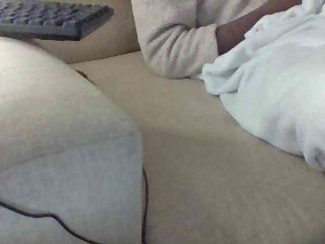 Dollie webcam