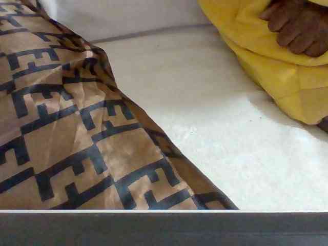 Dollie webcam