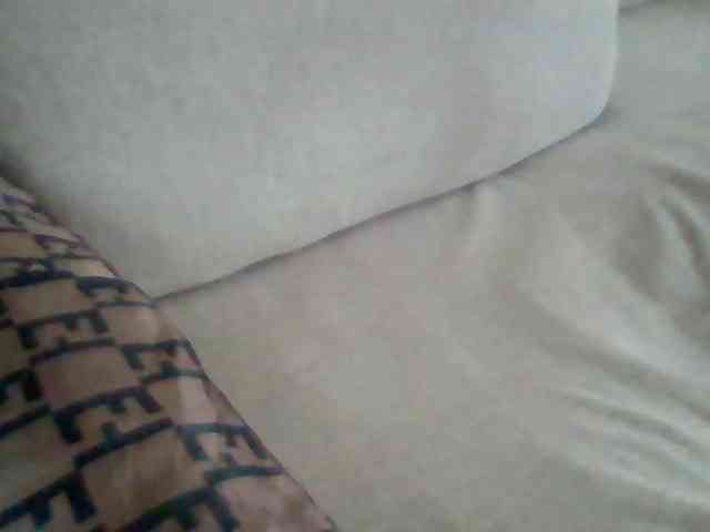 Dollie webcam