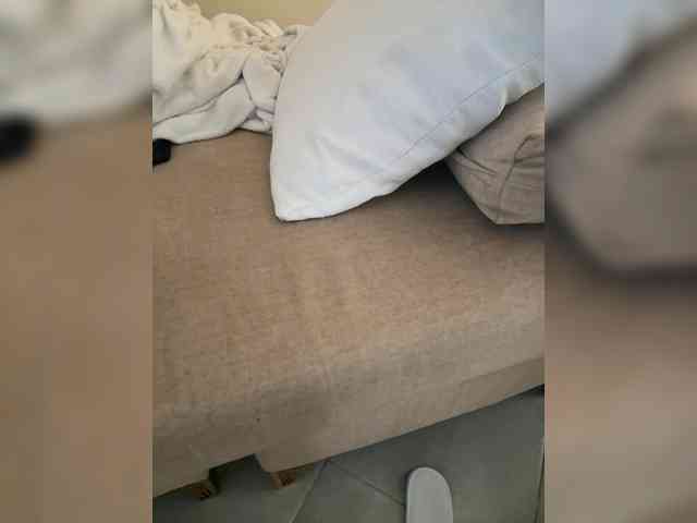 Dollie webcam