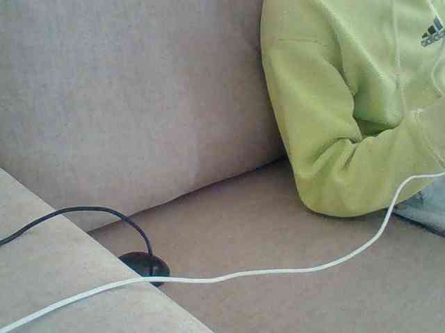 Dollie webcam