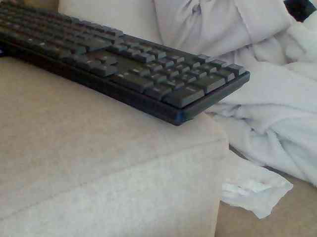Dollie webcam