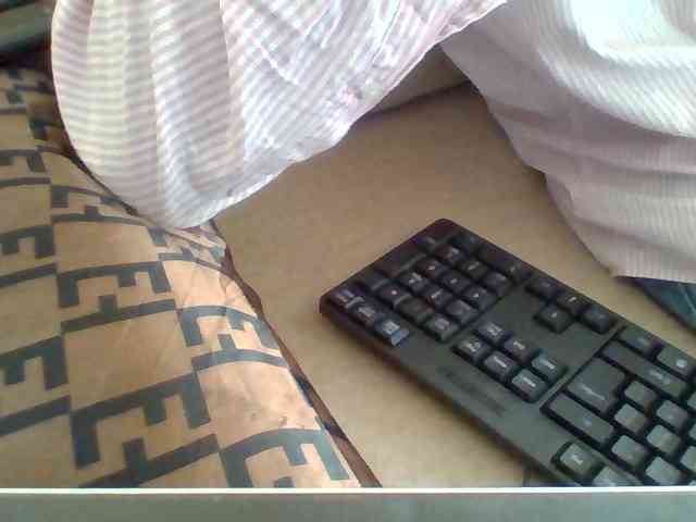Dollie webcam