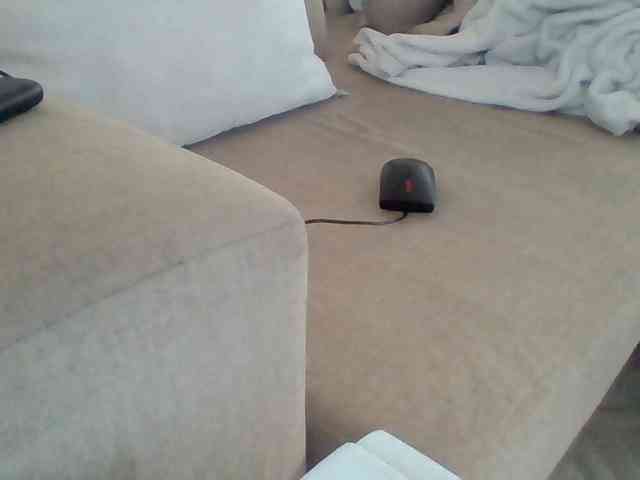 Dollie webcam