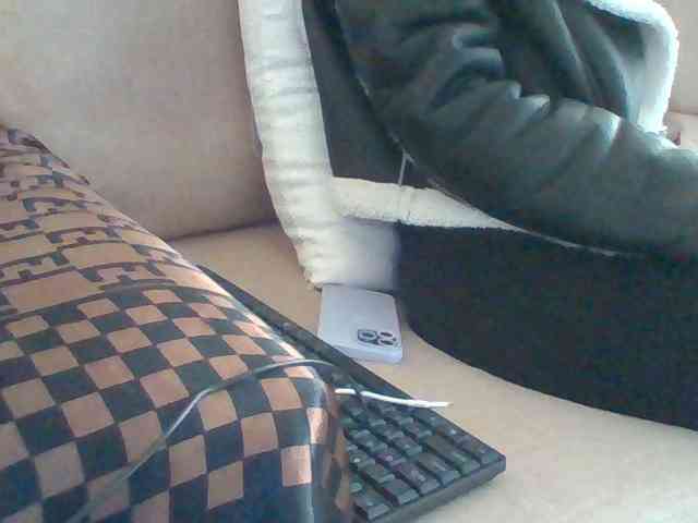 Dollie webcam