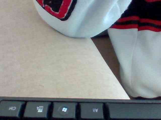 Dollie webcam