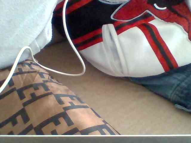 Dollie webcam