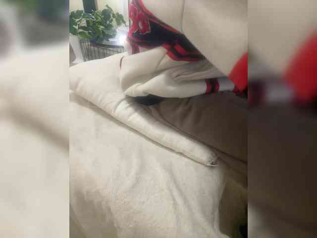 Dollie webcam