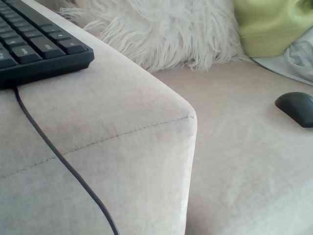 Dollie webcam