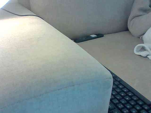 Dollie webcam