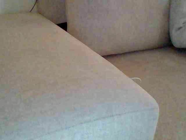 Dollie webcam