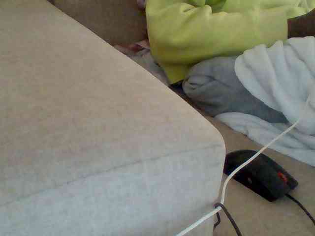 Dollie webcam